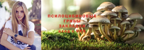 герыч Верея