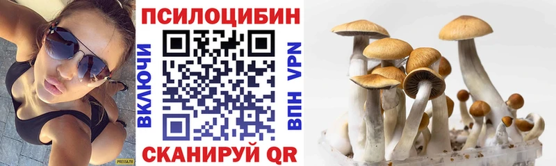 Галлюциногенные грибы Magic Shrooms  Гай 